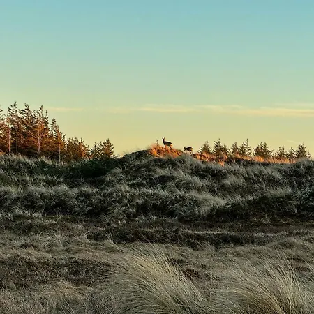 Feriehus Architect-designed Gem In North Jutland Dunes