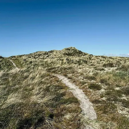 Architect-designed Gem In North Jutland Dunes * Pandrup